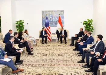 Egypt, US FMs assert strategic nature of bilateral ties