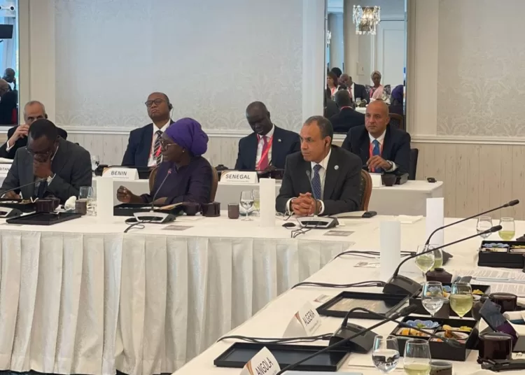 FM participates in TICAD ministerial meeting's opening session 1 - Egyptian Gazette