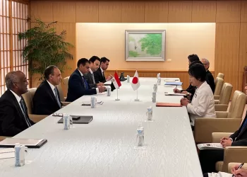 FM: Global governance needs tangible reforms at Security Council