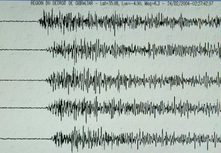 NRIAG: Egyptians did not feel Syria's earthquake 1 - Egyptian Gazette