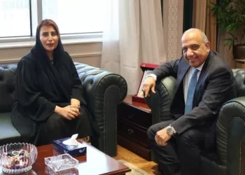 Egypt, UAE boost energy ties