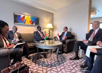 Egypt, Kenya FMs laud historical ties between two countries