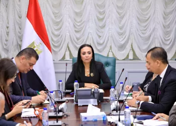 Morsy, FAO regional re-discusses joint co-operation