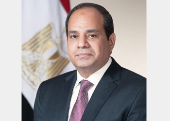 President Sisi pays great attention to Sudanese in Egypt: Official