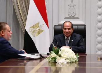 Sisi reviews economic situation with CBE governor