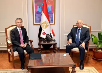 Cairo, Tokyo keen to boost co-operation in various fields