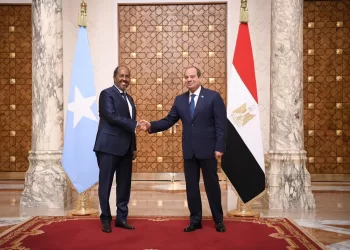 Egypt reiterates support for Somalia’s unity, sovereignty