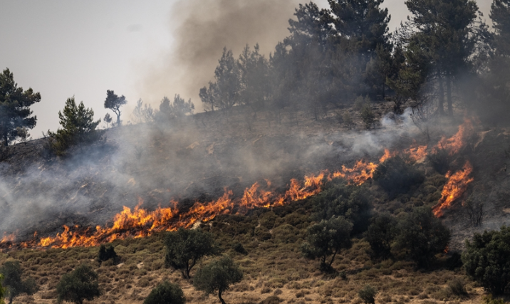 Hizbollah claims attacks on military positions in northern Israel 2 - Egyptian Gazette Hizbollah claims attacks on military positions in northern Israel 1 - Egyptian Gazette