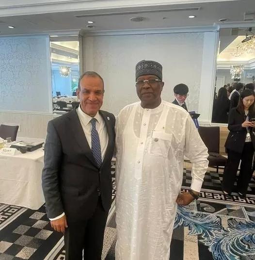 FM reaffirms unique and enduring relations between Egypt and Chad 2 - Egyptian Gazette FM reaffirms unique and enduring relations between Egypt and Chad 1 - Egyptian Gazette