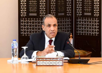 Egyptian, French FMs to hold talks in Cairo on Saturday