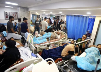 WHO: We work with Egypt, Jordan, all relevant parties to offer services in Gaza