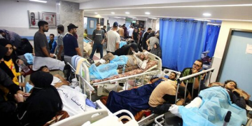 WHO: We work with Egypt, Jordan, all relevant parties to offer services in Gaza 1 - Egyptian Gazette WHO: We work with Egypt, Jordan, all relevant parties to offer services in Gaza