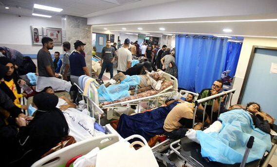 WHO: We work with Egypt, Jordan, all relevant parties to offer services in Gaza 13 - Egyptian Gazette WHO: We work with Egypt, Jordan, all relevant parties to offer services in Gaza 12 - Egyptian Gazette