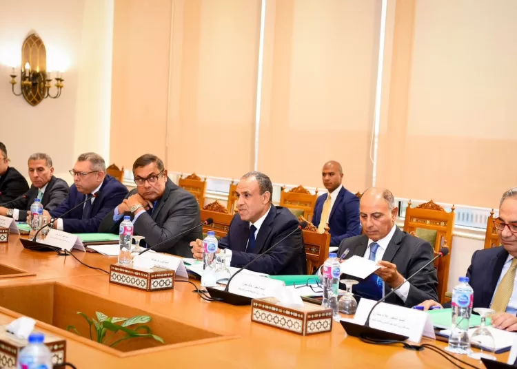 FM asserts Egypt's keenness on responding to urgent needs of African countries 1 - Egyptian Gazette