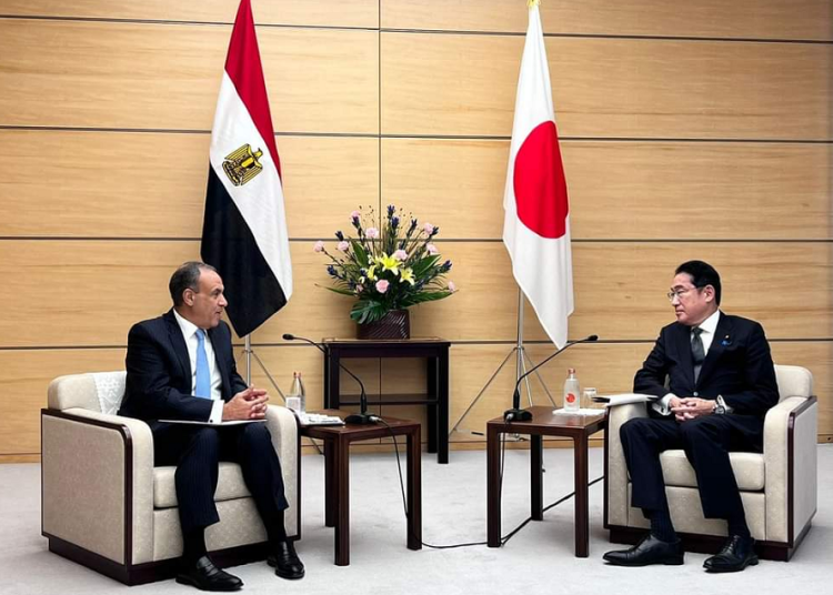 FM hands over message from President Sisi to Japanese PM 1 - Egyptian Gazette