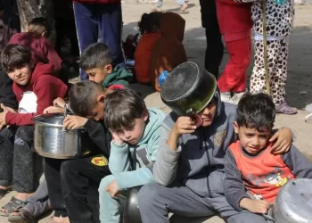 Gaza’s children live in shock after 300 days of war – UNRWA