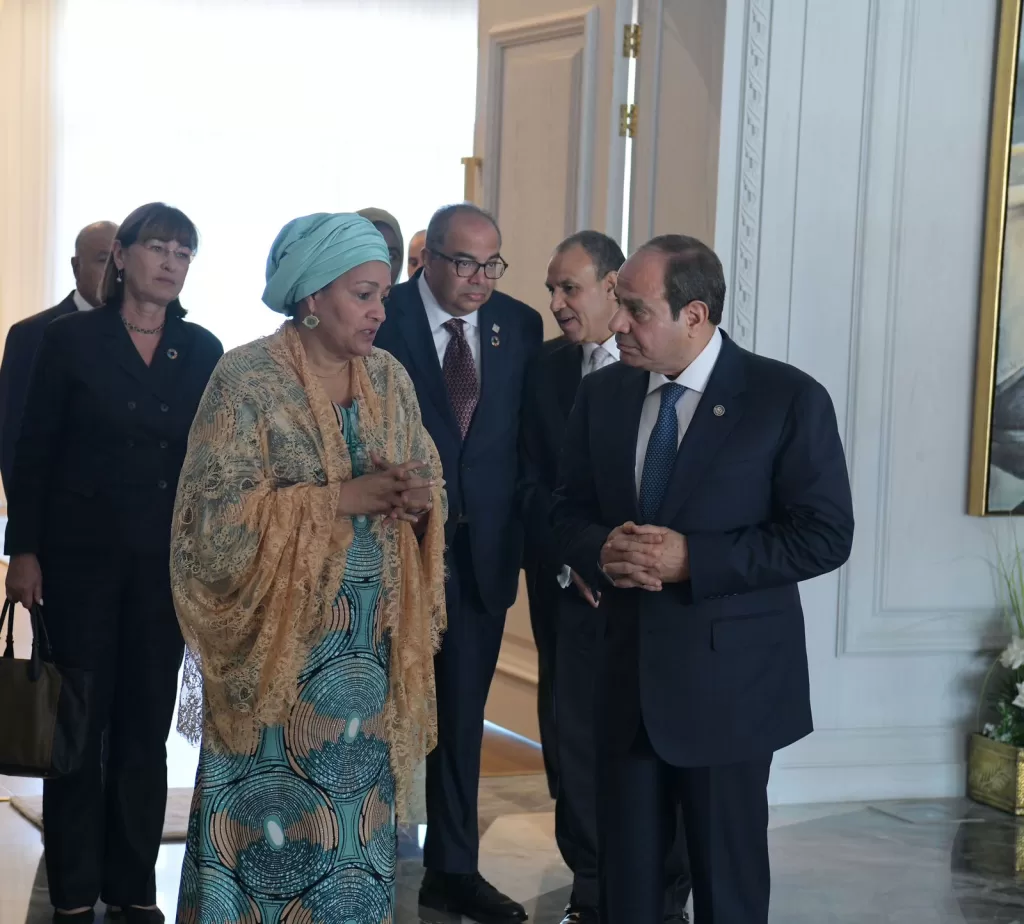 President, Deputy UNSG probe efforts to defuse regional tensions, restore stability 3 - Egyptian Gazette