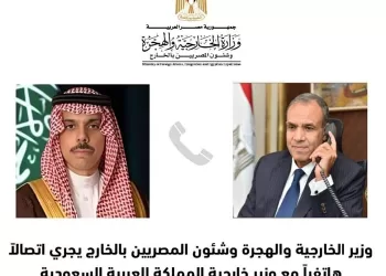 Egypt, S. Arabia mull regional escalation over Israeli extremist policies