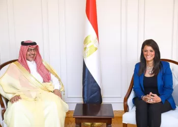 Planning minister says Egypt seeking to boost co-operation with S. Arabia