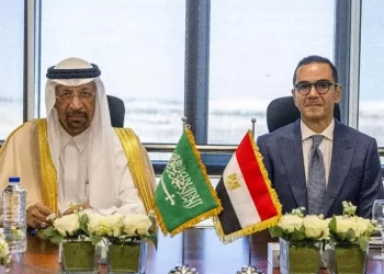 ‘S. Arabia’s is special investment partner for Egypt’