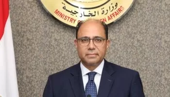 Arab parliamentary diplomacy important tool to present Arab visions – diplomat