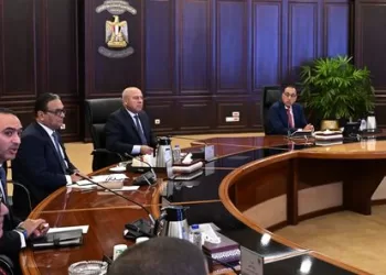 Madbouli orders further expansion of automotive industry in Egypt