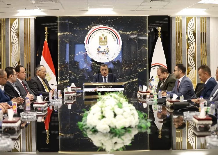 Military production min.: We work on manufacturing dual-fuel vehicles 100% to replace three-wheeled tuk-tuks 1 - Egyptian Gazette