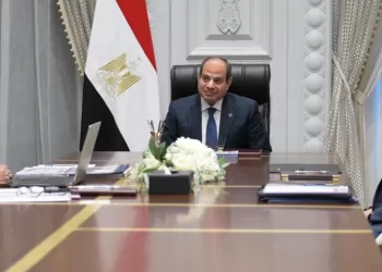 Sisi: Expediting renewable energy projects to beef up electricity grid’s capacities