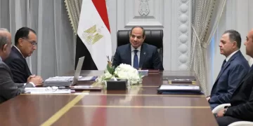 Sisi: Expediting renewable energy projects to beef up electricity grid’s capacities