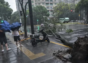 Typhoon Bebinca lands in Shanghai, strongest storm to hit city since 1949