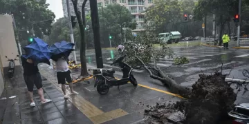 Typhoon Bebinca lands in Shanghai, strongest storm to hit city since 1949 1 - Egyptian Gazette Typhoon Bebinca lands in Shanghai, strongest storm to hit city since 1949