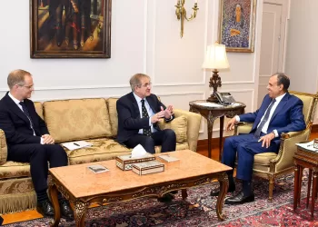 Cairo, London diversifying economic co-operation to include energy, green economy, ICT, transport