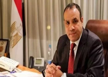Egypt FM heads for UAE for boosting relations