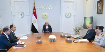 Sisi directs action to improve electricity services