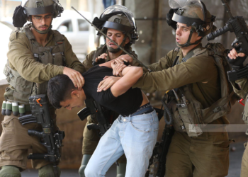 Israeli forces detain 12 Palestinians from the West Bank