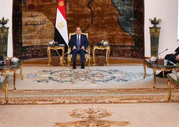 Sisi stresses importance of strategic partnership with US