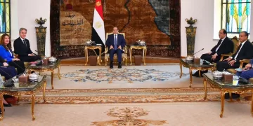 Sisi stresses importance of strategic partnership with US