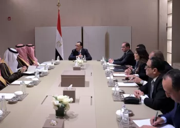 PM: Egypt, Saudi Arabia seek maximizing joint potentials