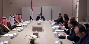 PM: Egypt, Saudi Arabia seek maximizing joint potentials
