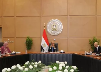 Electricity min., CSGI chairman discuss cooperation in fields of reducing electric loss