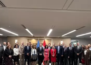 FM meets Egyptians working at United Nations