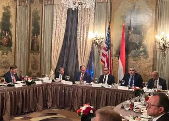 FM: Egypt keen to attract further US investments