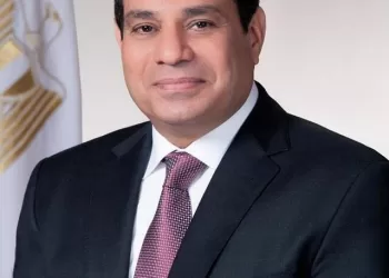 Sisi directs to assess performance of federations participating in Paris Games