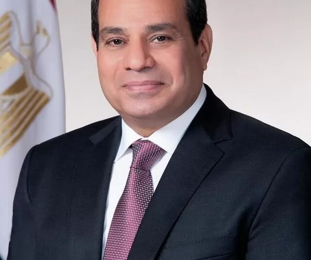 Sisi directs to assess performance of federations participating in Paris Games 1 - Egyptian Gazette
