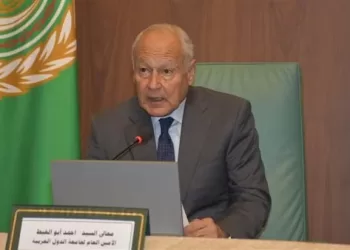 Abul Gheit: Israel jeopardizes Egypt’s pivotal role in region
