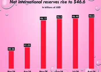 Growing financial inclusion lifts e-wallets above 42m