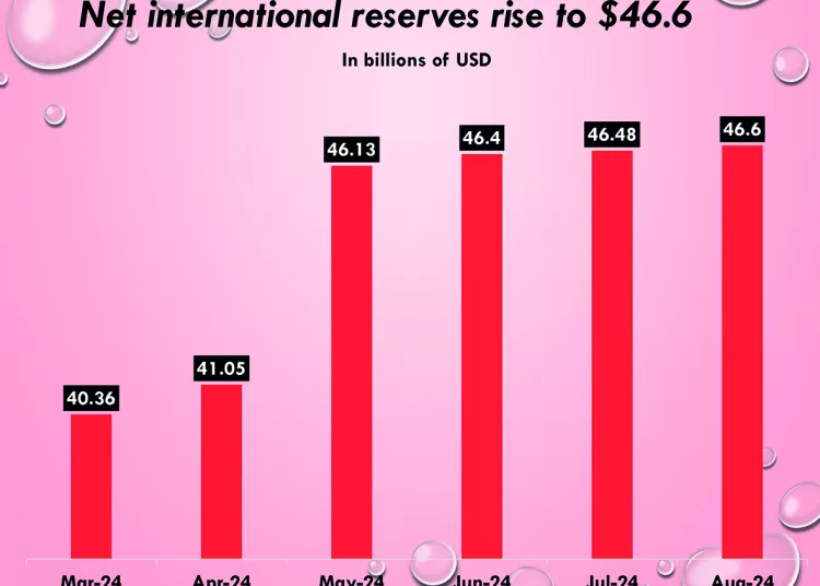 Growing financial inclusion lifts e-wallets above 42m 1 - Egyptian Gazette