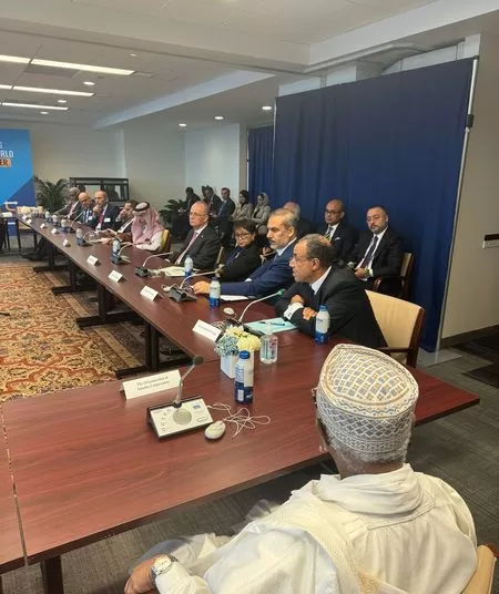 FM urges immediate ceasefire, aid access into Gaza 1 - Egyptian Gazette