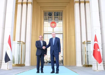 Erdogan: Egypt, Türkiye work on promoting bilateral ties