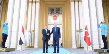 Erdogan: Egypt, Türkiye work on promoting bilateral ties